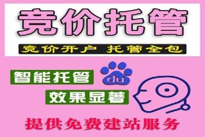 探索SEM代运营公司的经典案例与策略